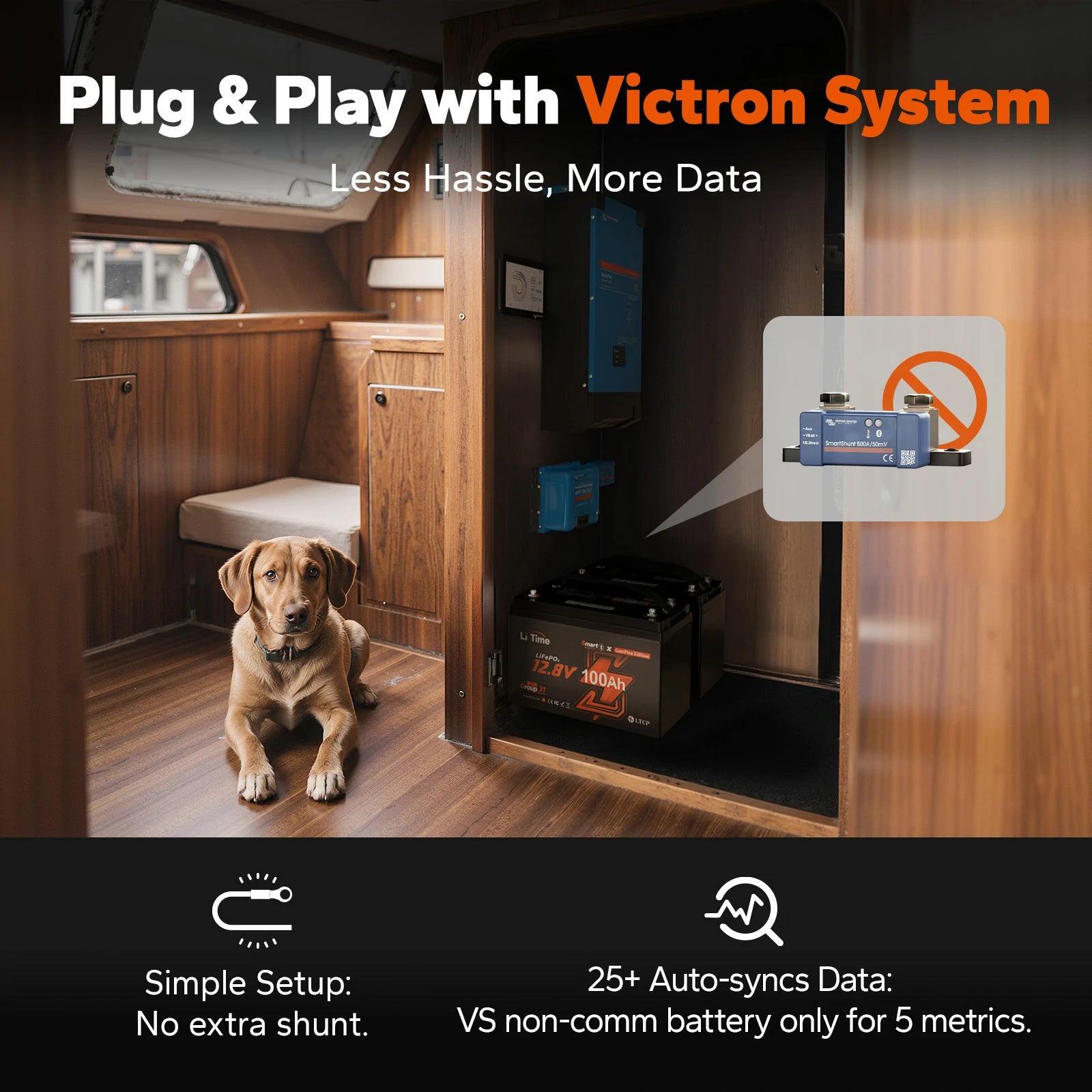 LiTime 12V 100Ah Smart ComFlex Battery with Bluetooth & Victron Communication