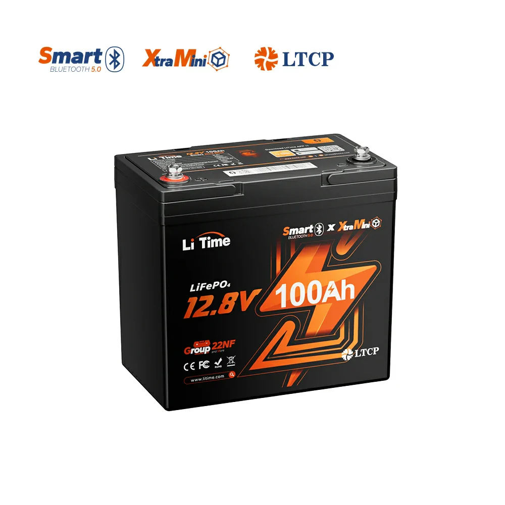 ✅Like New✅LiTime 12V 100Ah Xtra-Mini Bluetooth Small LiFePO4 Battery